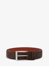Riem Etrier Bruin bride EBRI712C